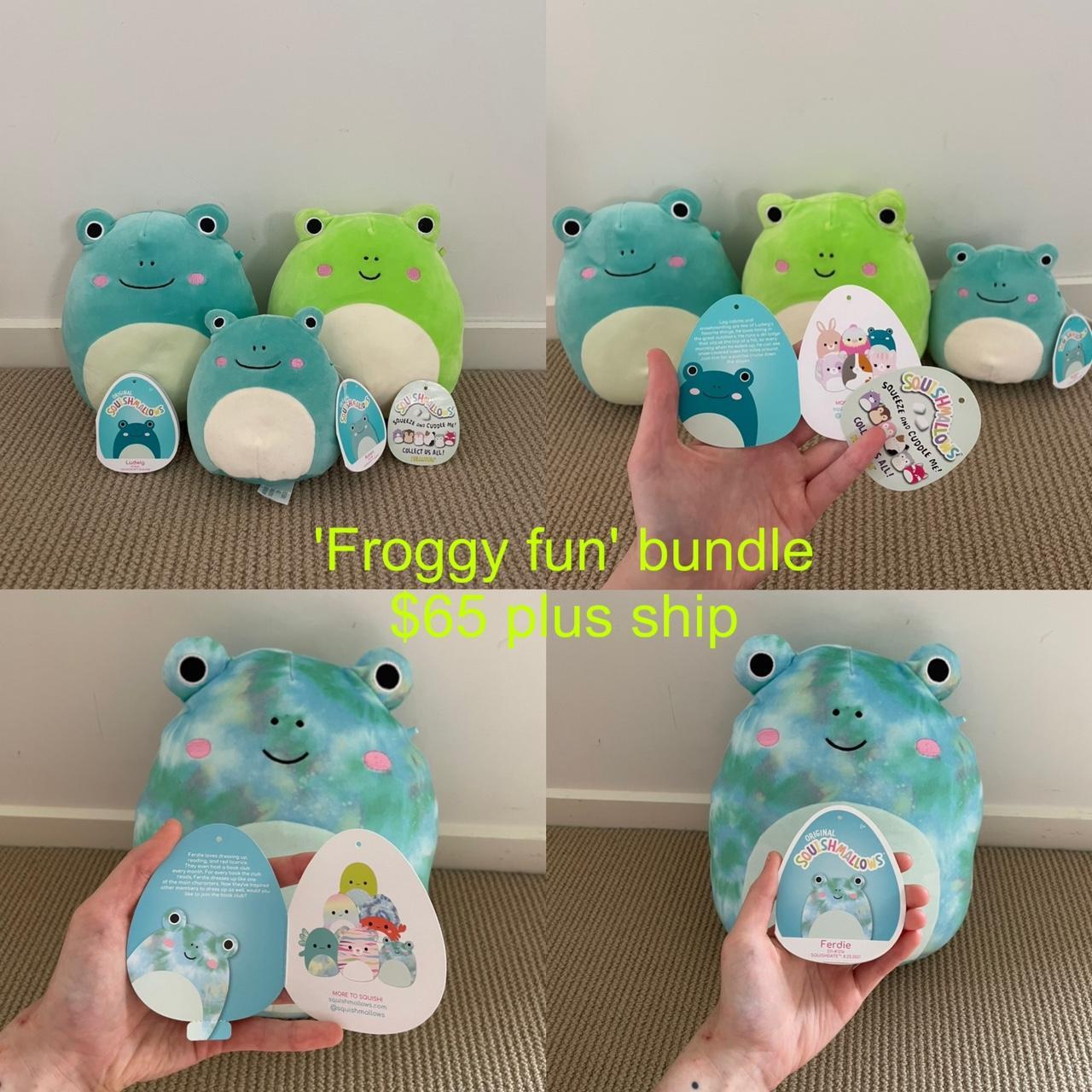 Squishmallow frog bundle 'froggy fun' all BNWT 4x - Depop