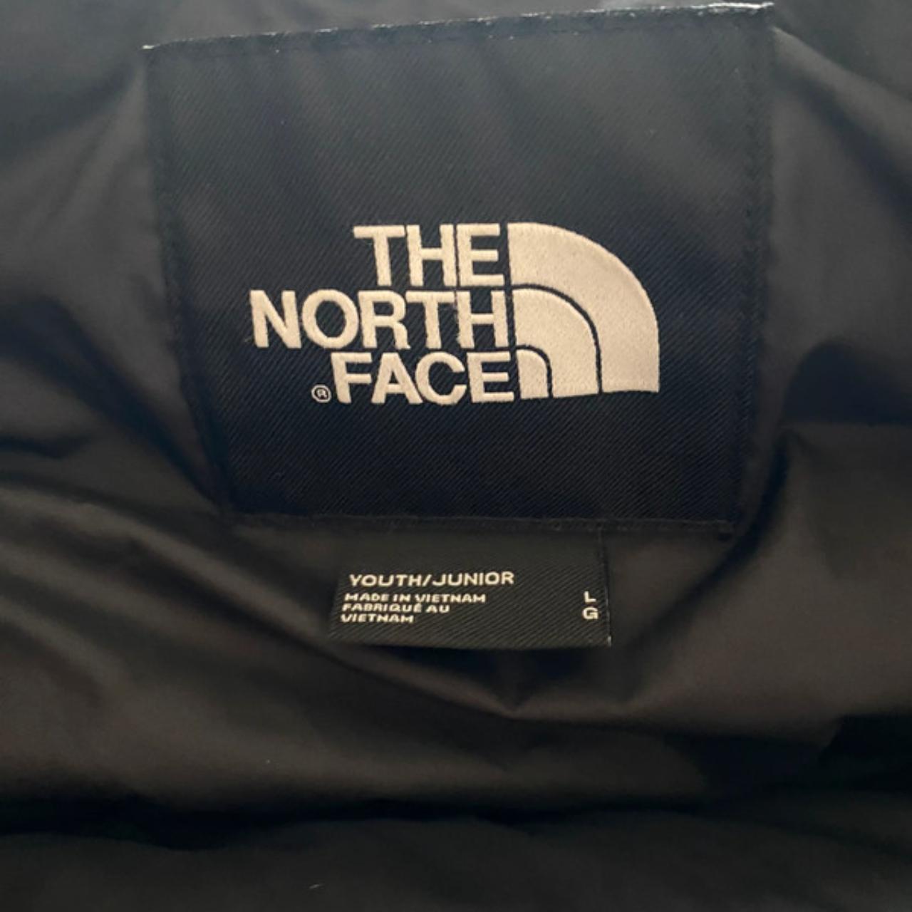 The North Face down jacket The North Face 700 size L... - Depop