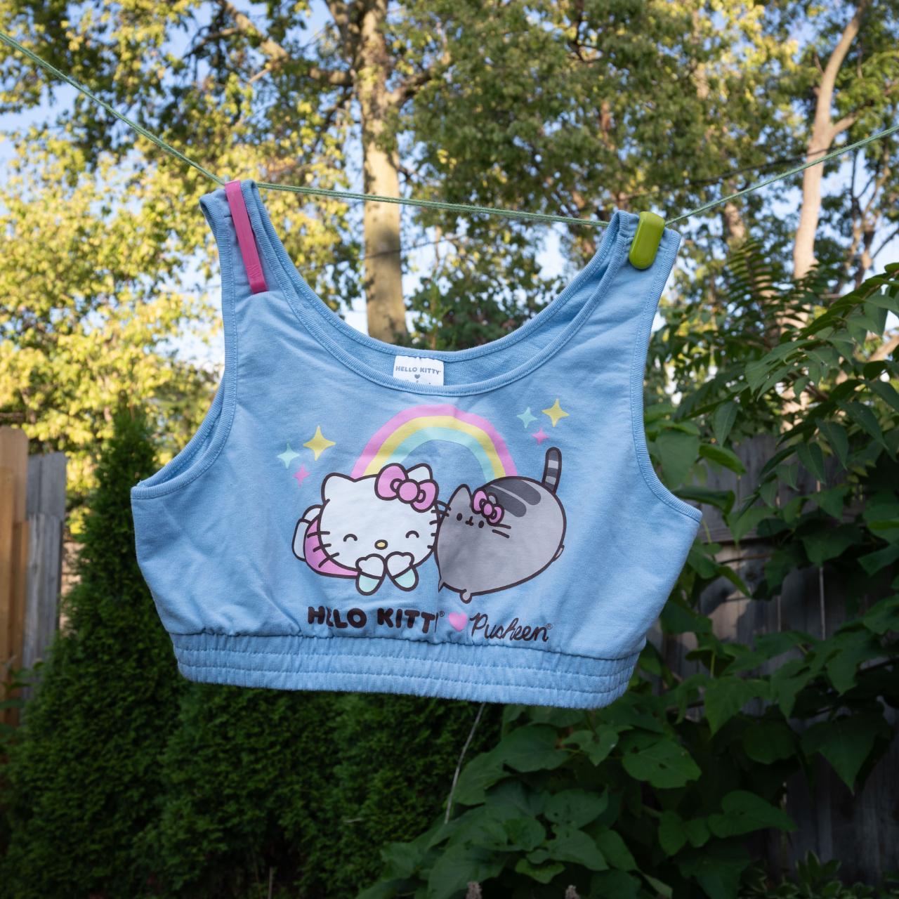 $250 for a hello kitty bra?? 😭 : r/depoop