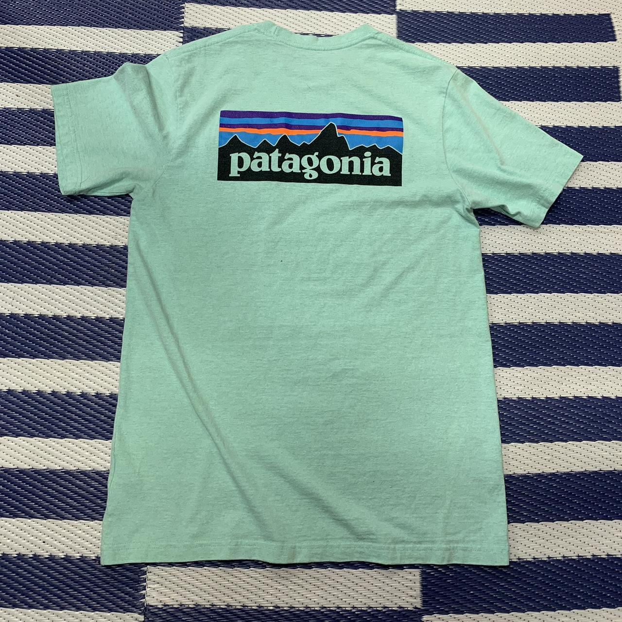 Men's Patagonia T-Shirts, Preowned & Secondhand