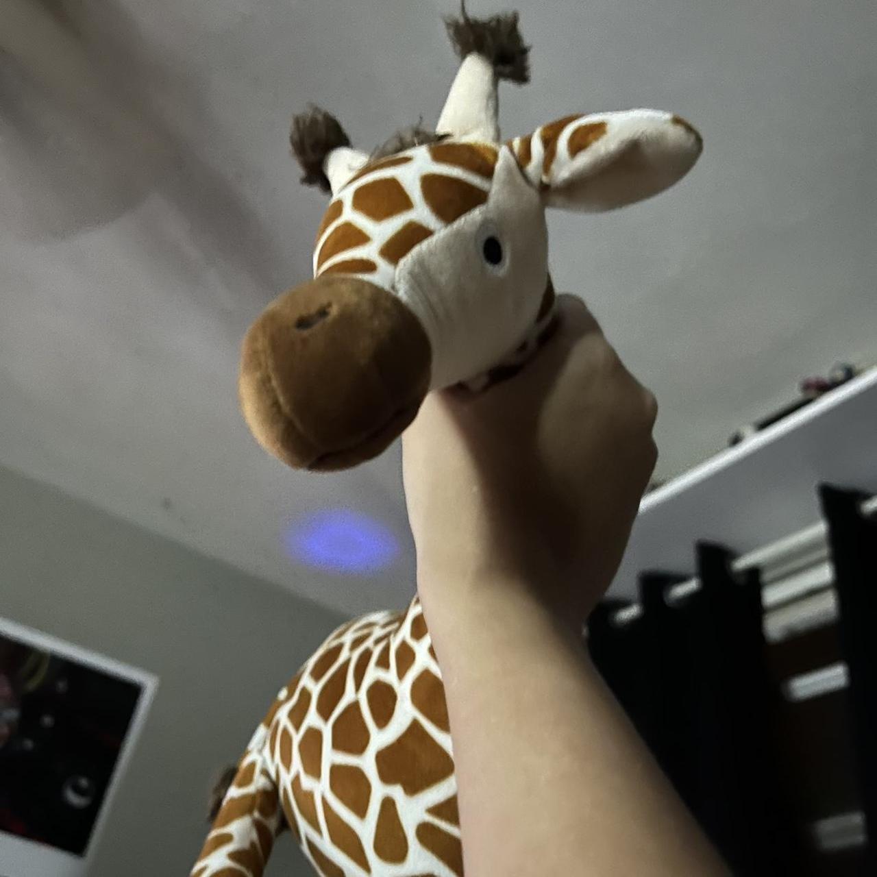 Kohls giraffe online