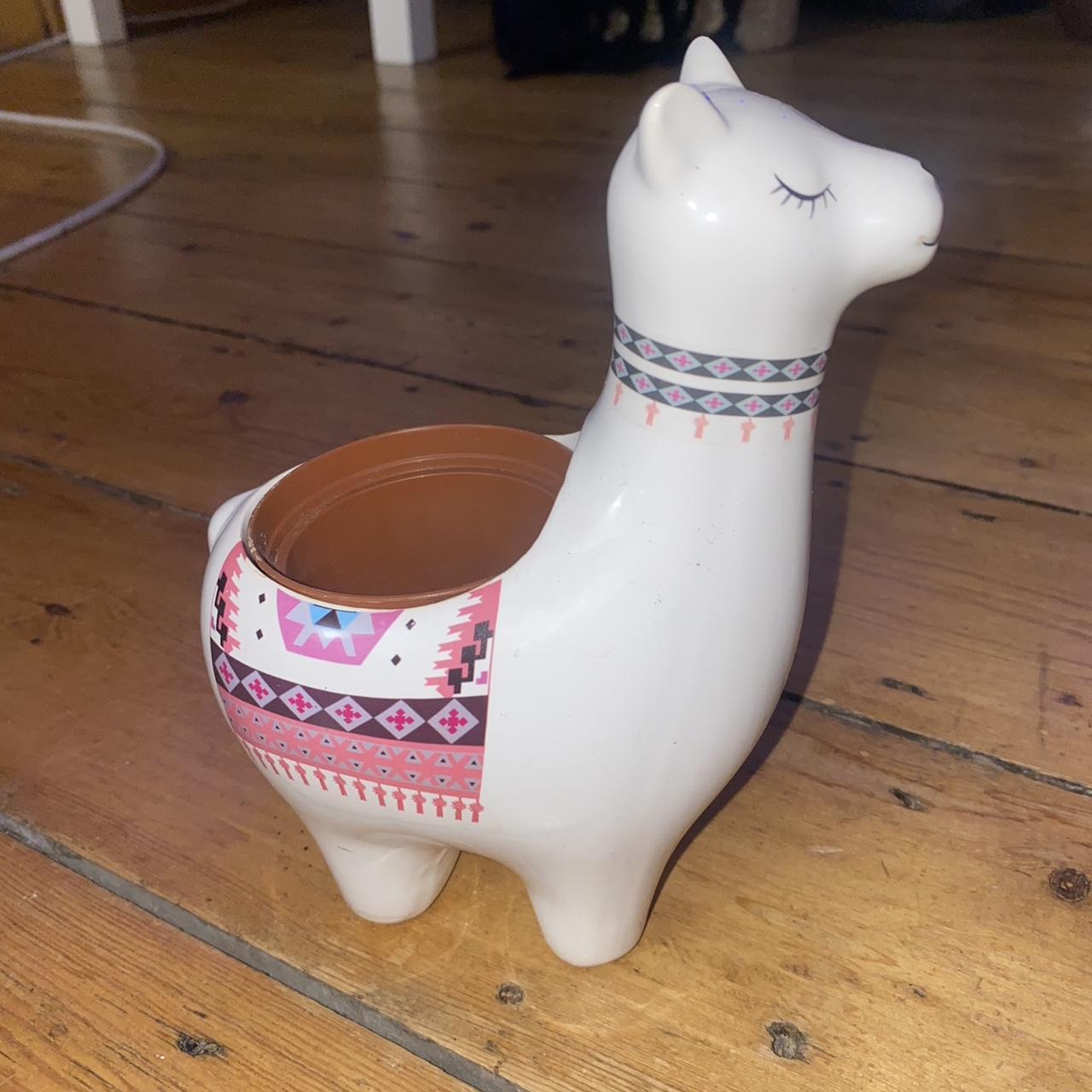 item listed by salomepunk