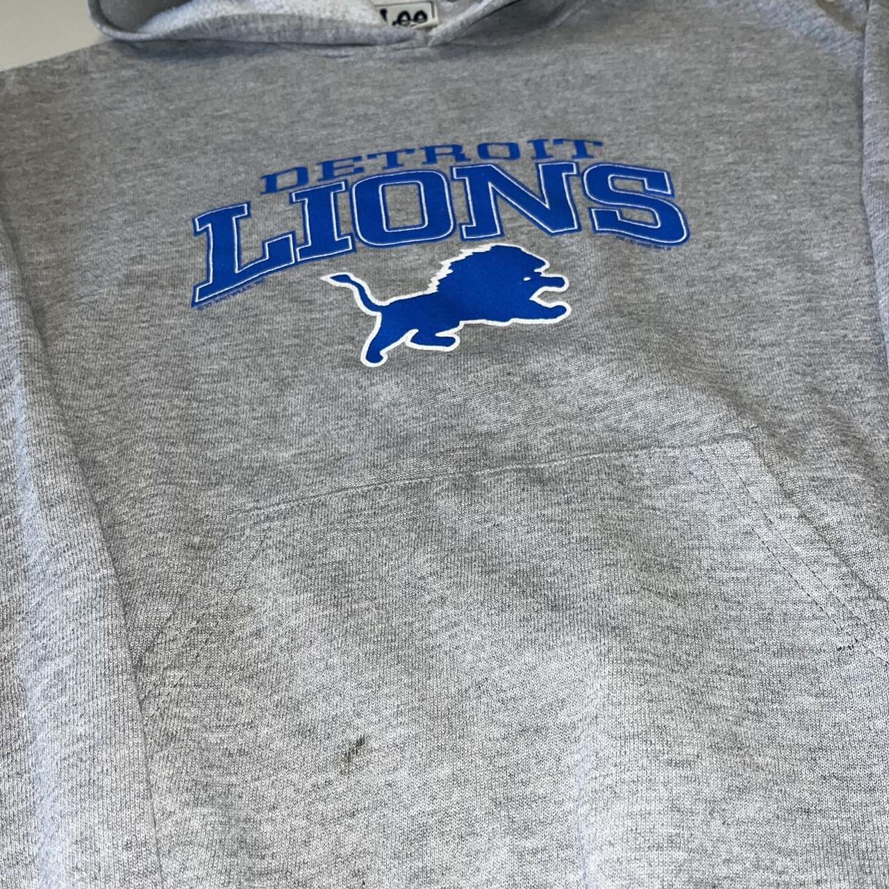 Vintage Detroit Lions NFL Hoodies Sweater Small Y2K Detroit 