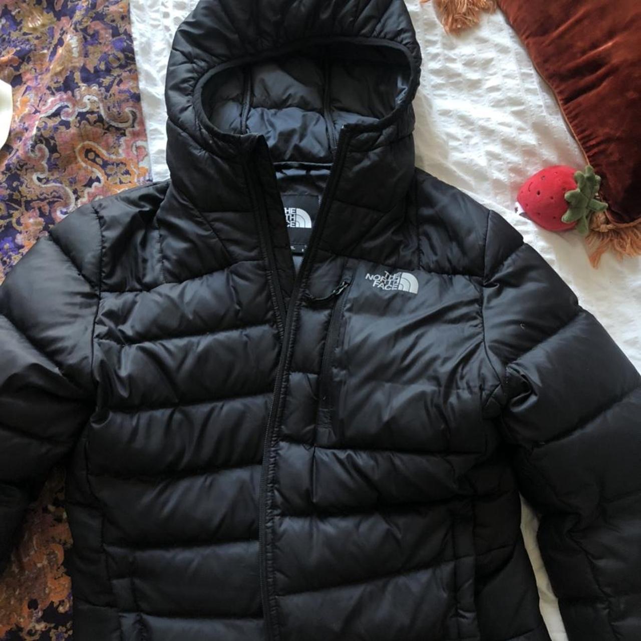 The North Face Men's Black Coat | Depop