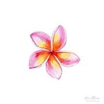 mmilasclosett's profile picture