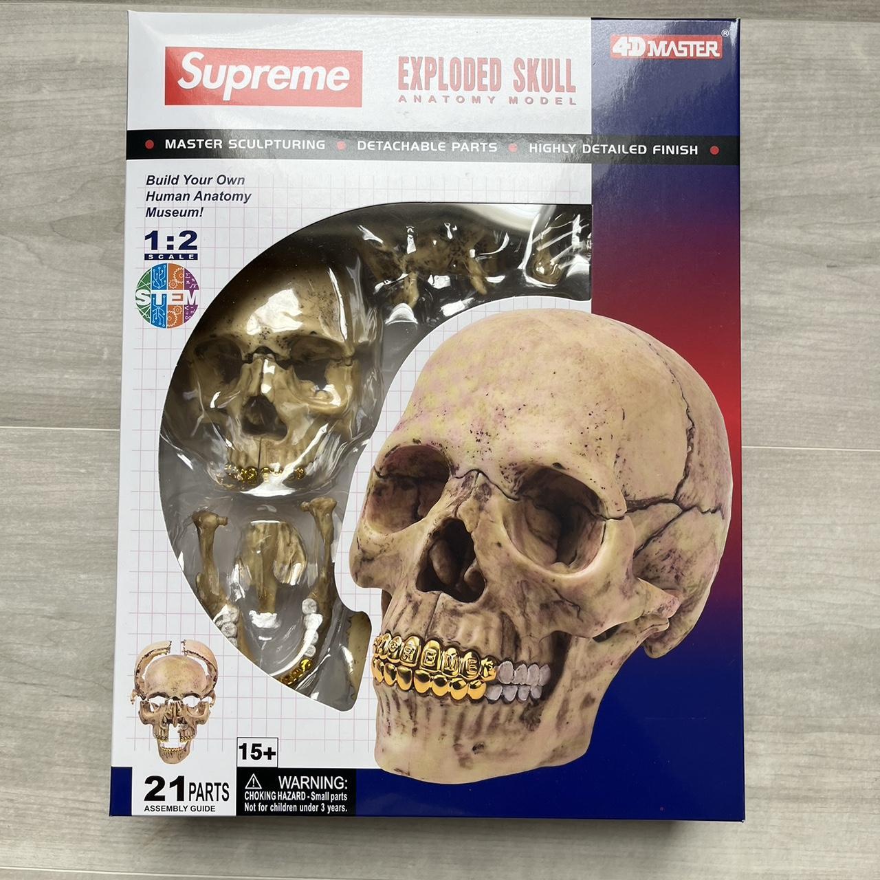 Supreme 4D Model Human Skull #supreme #skull #goth... - Depop