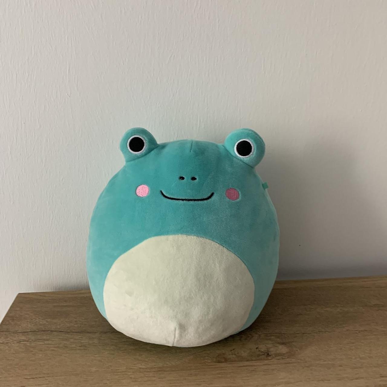Robert Blue Frog Squishmallow Perfect Condition... - Depop