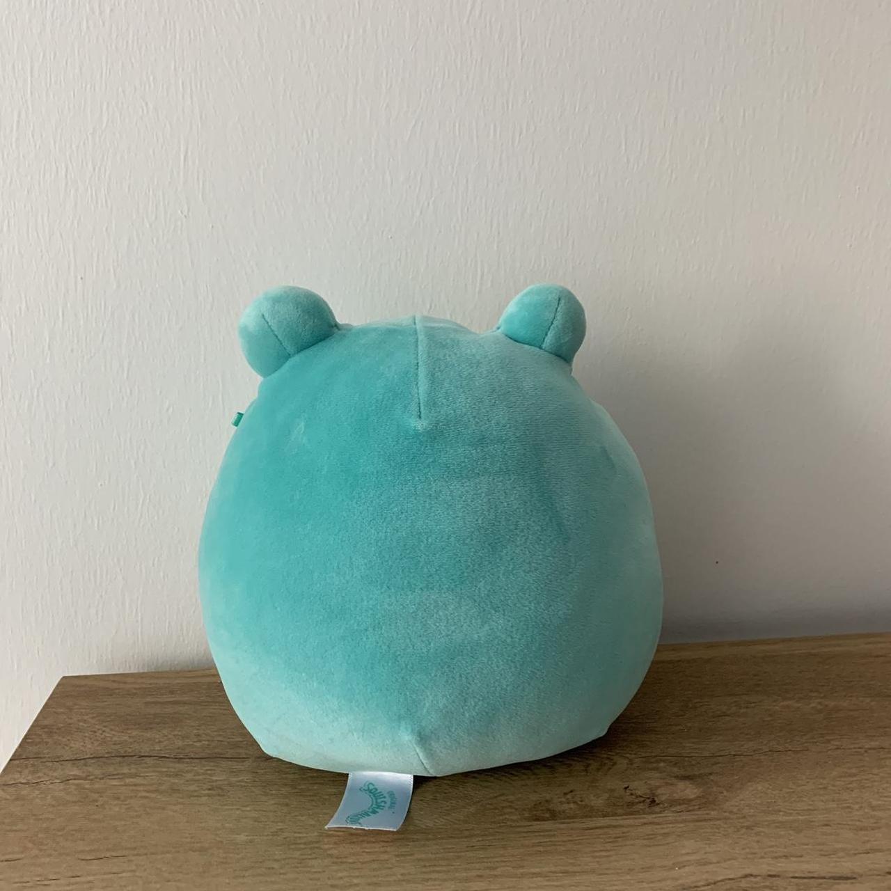 Robert Blue Frog Squishmallow Perfect Condition... - Depop