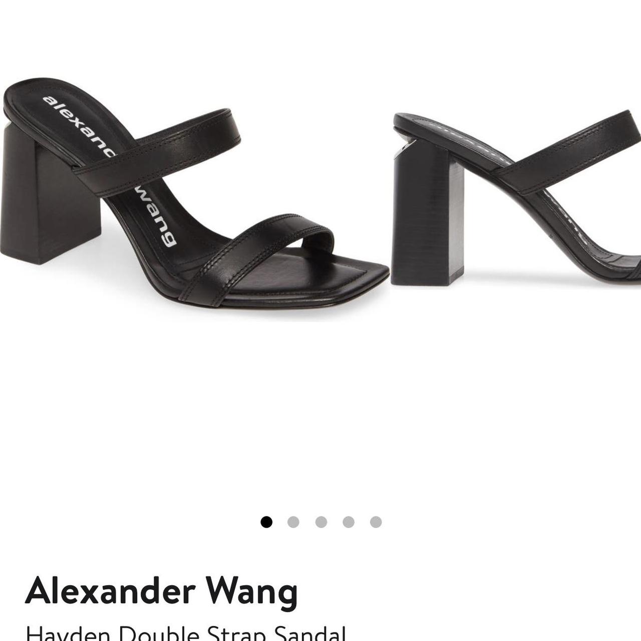 Alexander wang hayden sandal new arrivals