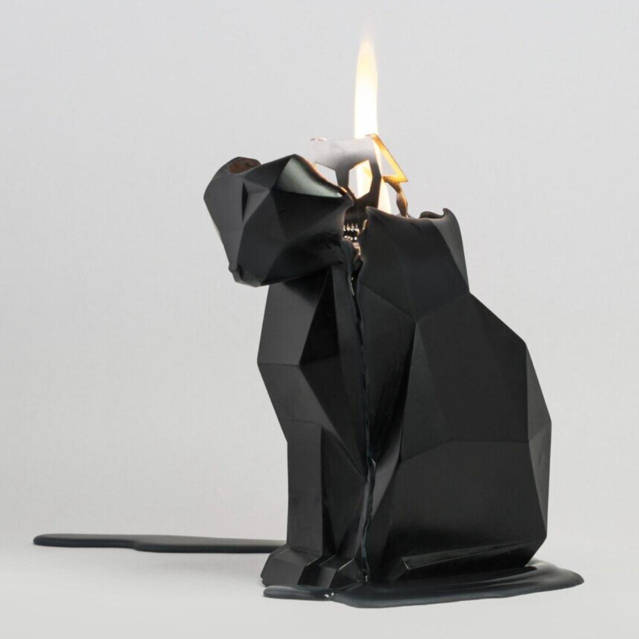PyroPet Kisa / Cat Black Candle by 54Celsius. Makes... Depop