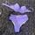 item listed by hollyclarksonxox