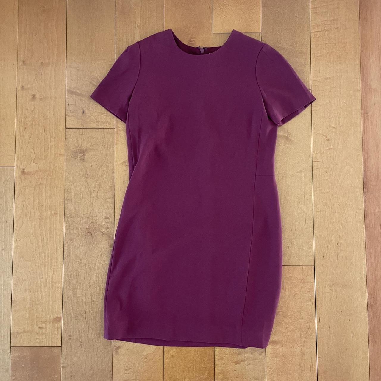 Aritzia patricio outlet dress