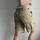 item listed by cfvintagee