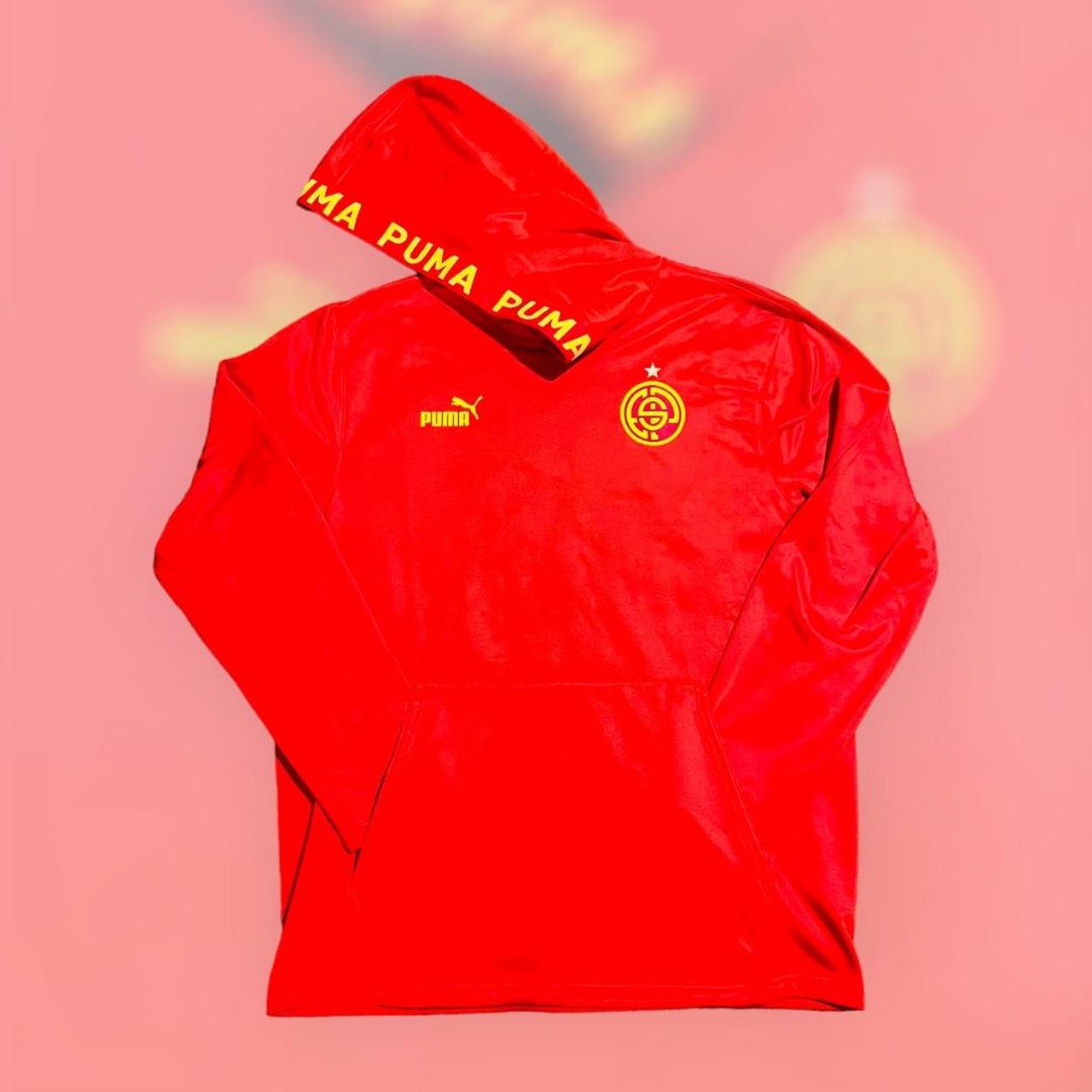 Puma hotsell hoodie 2019