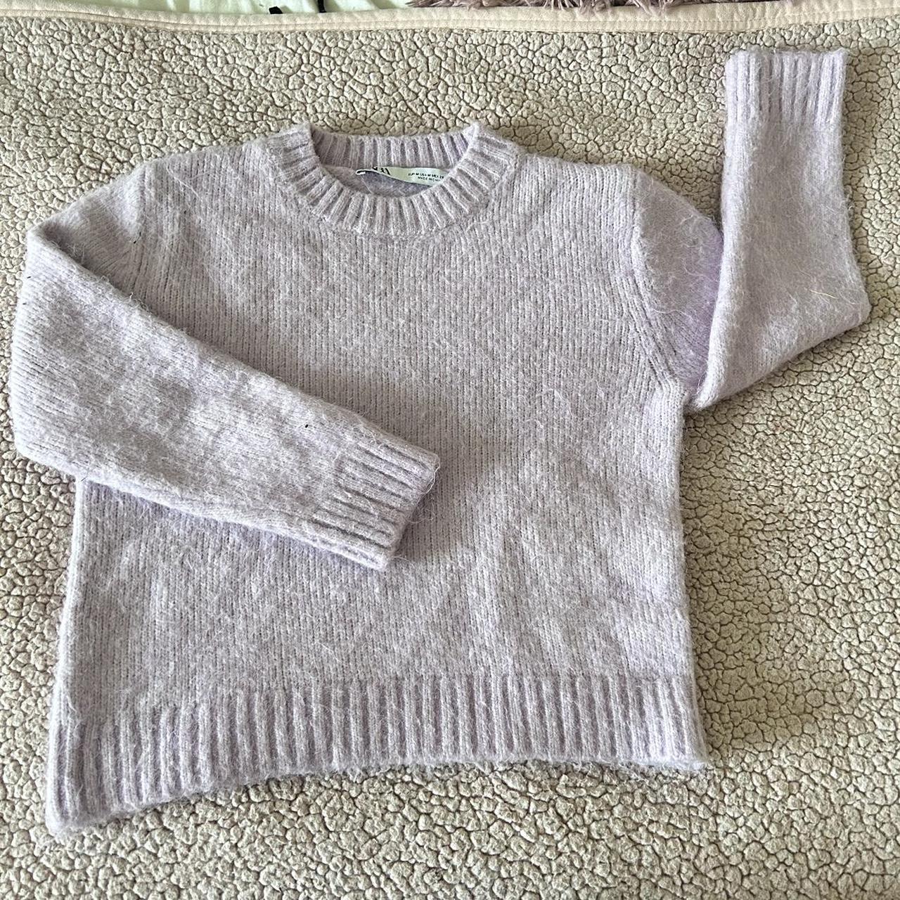 Zara shop fuzzy sweater