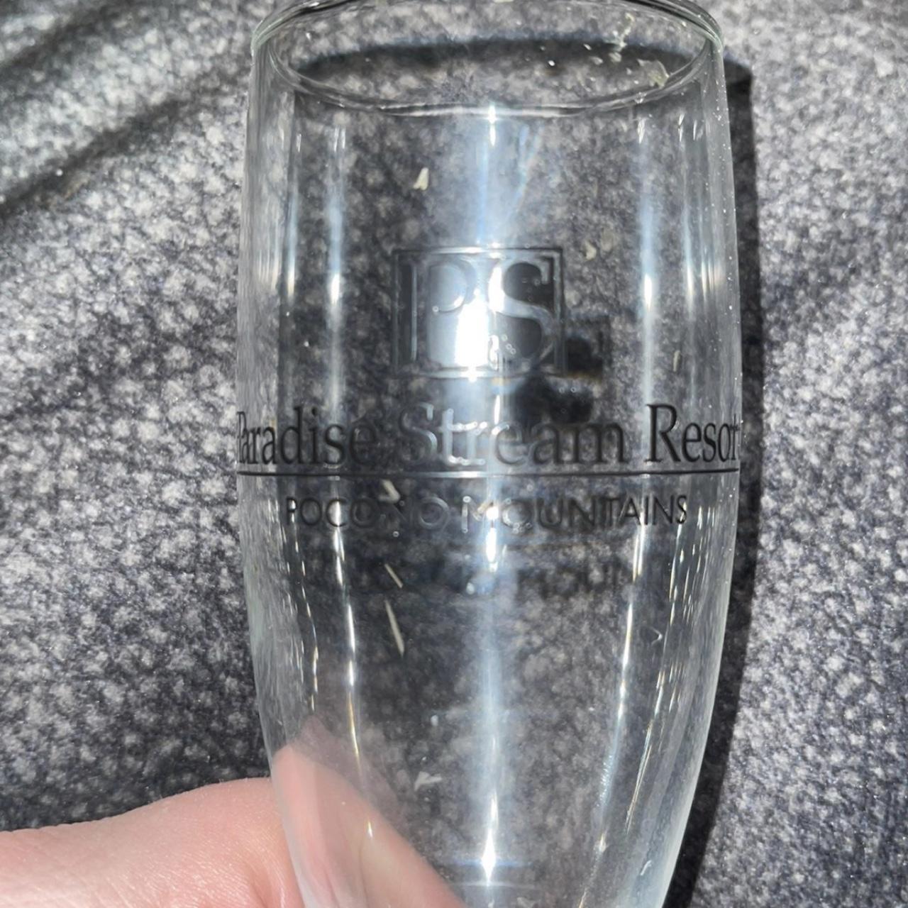 Paradise Pocono Mountains Stream Resort Wine Glass... Depop