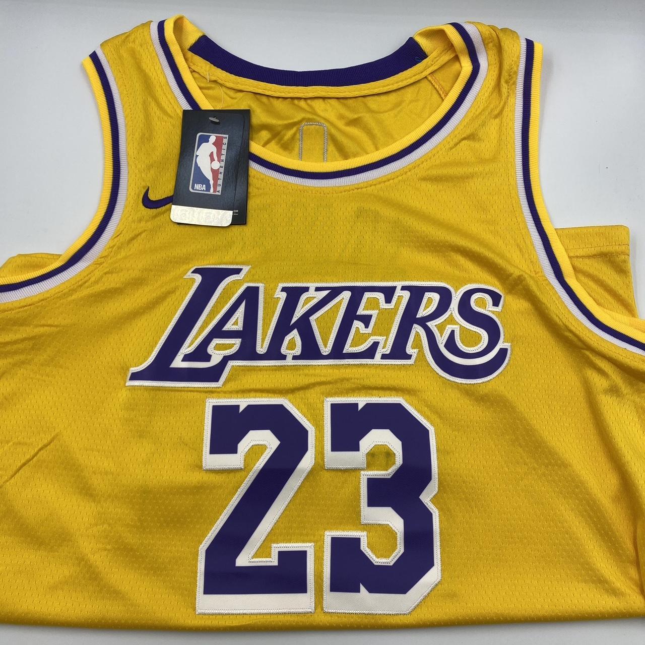 Nike La Lakers Lebron James No. 23 Swing Jersey Vest - Depop