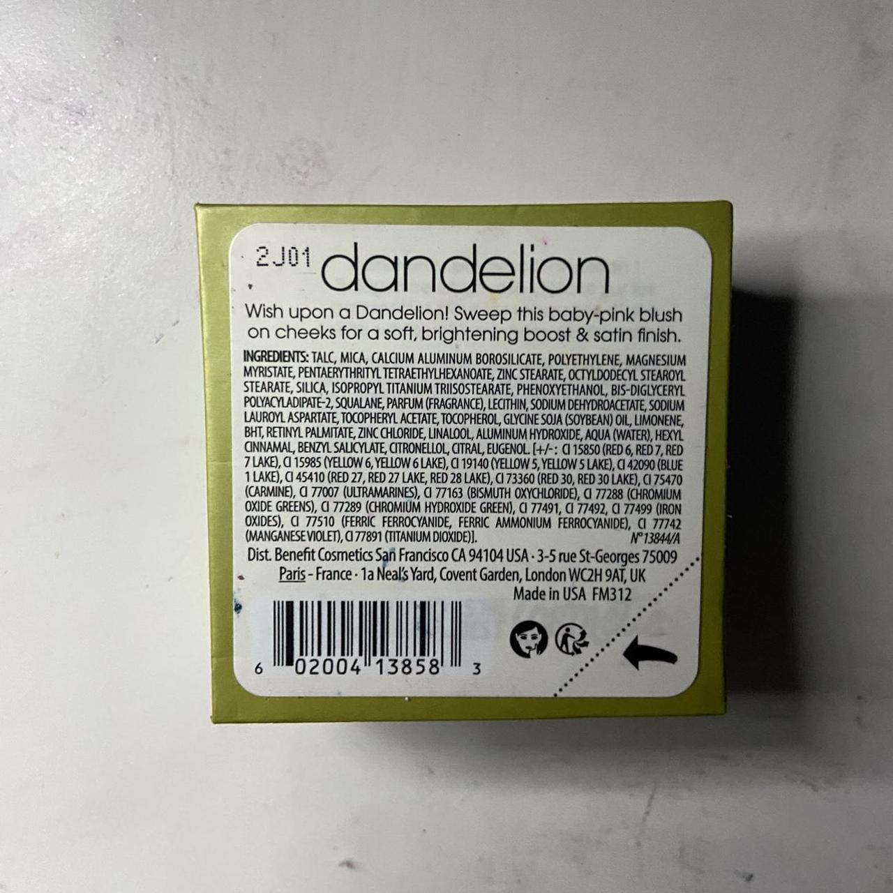 Benefit Pink Makeup (2)