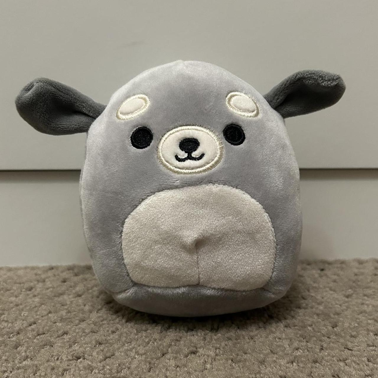 Brian 5” Squishmallow Dog -From Costco boxed set... - Depop