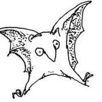 jessemoll's profile picture