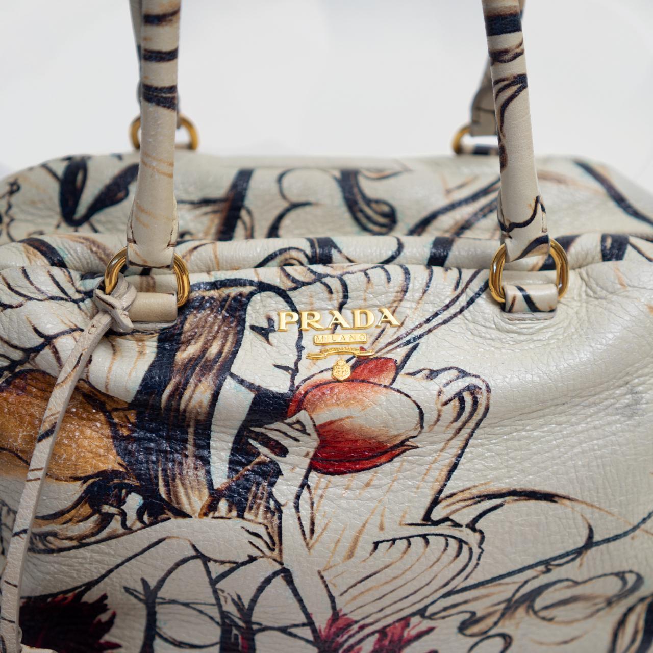 Prada x James Jean Spring 2008 Fairy Handbag Prada | Depop Prada x James Jean Spring 2008 Fairy Handbag Prada | Depop