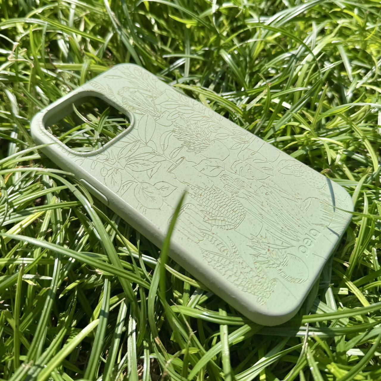 Top 10 Biodegradable Phone Cases That Don't Sacrifice Protection