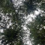 emirene's profile picture
