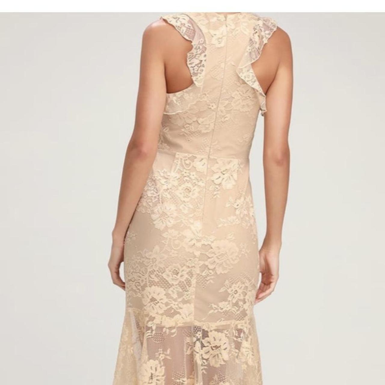 Windsor anastasia 2024 gold lace dress