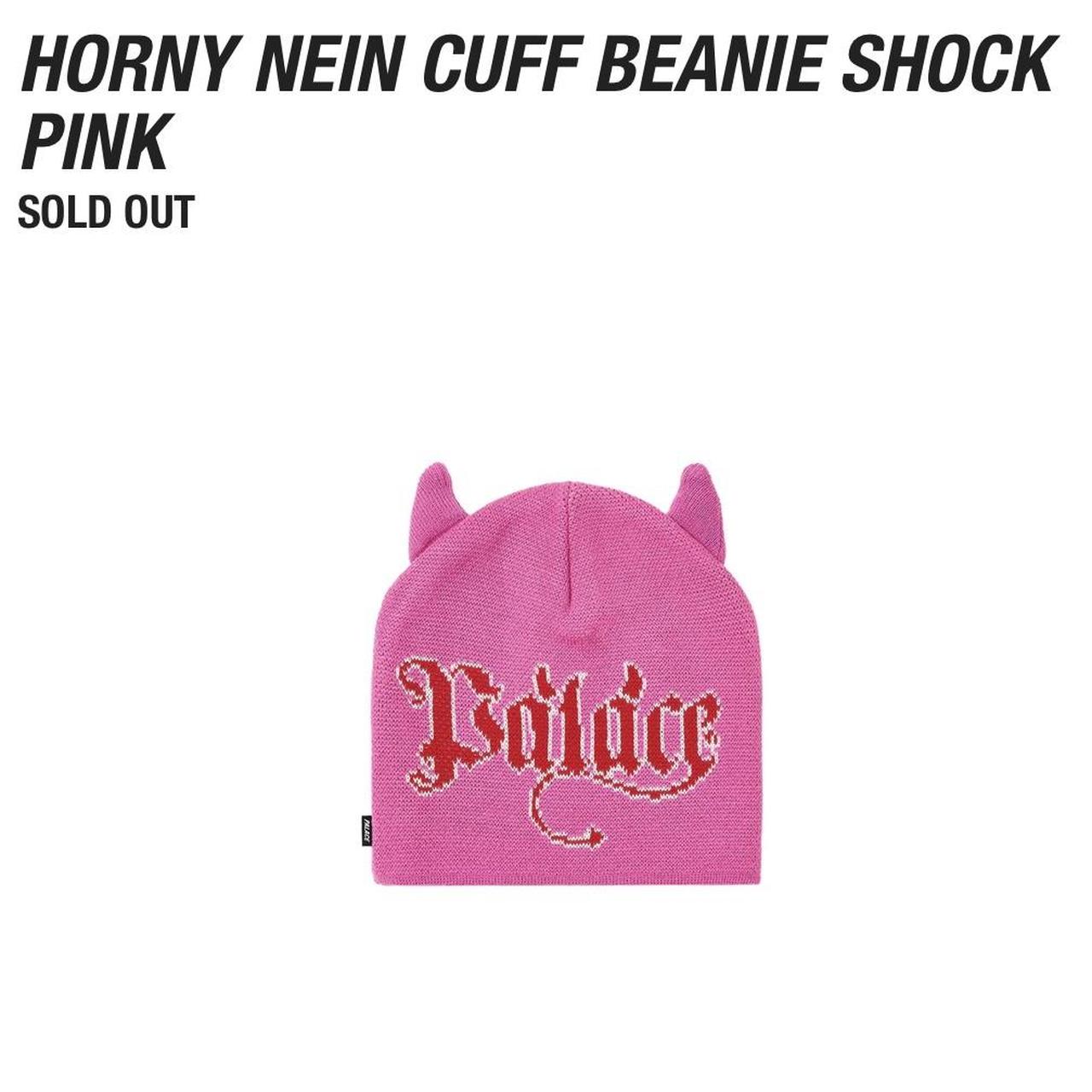 PALACE SKATEBOARDS HORNY NEIN CUFF BEANIE HAT...