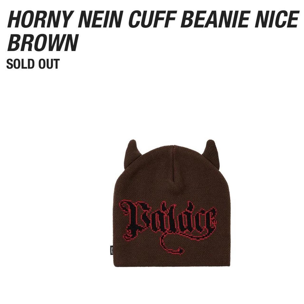 PALACE SKATEBOARDS HORNY NEIN CUFF BEANIE HAT NICE... - Depop