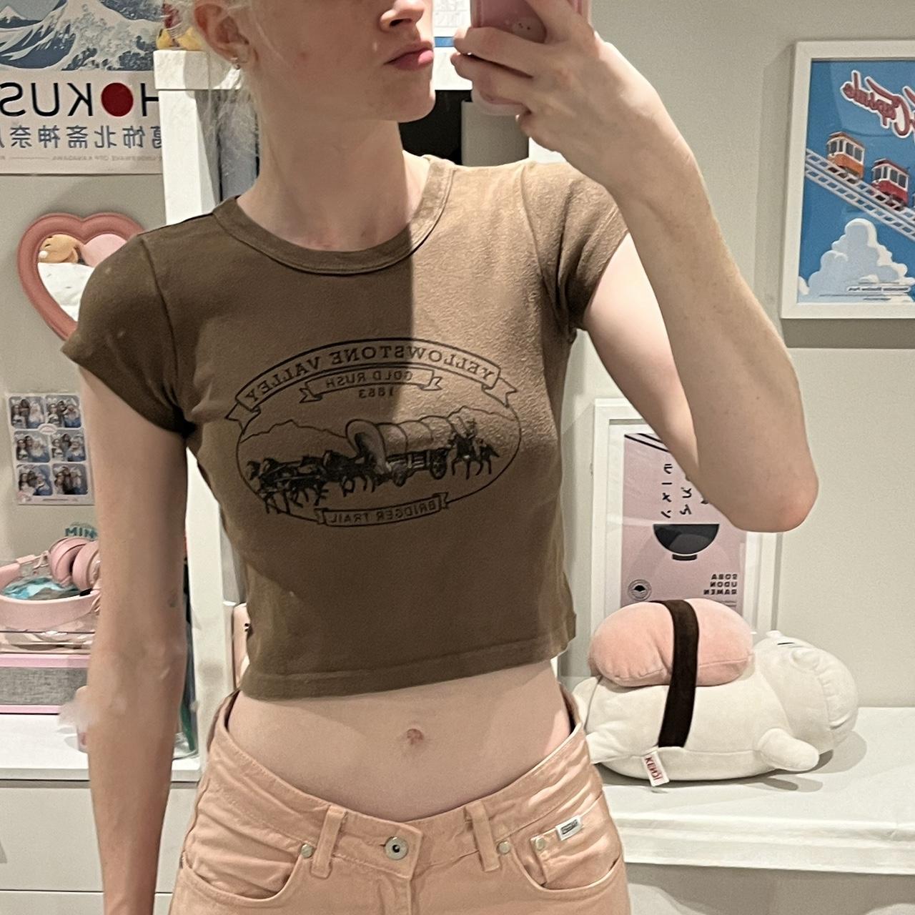 brandy melville ‘yellowstone valley’ brown baby tee... Depop