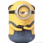 mishcamp's profile picture