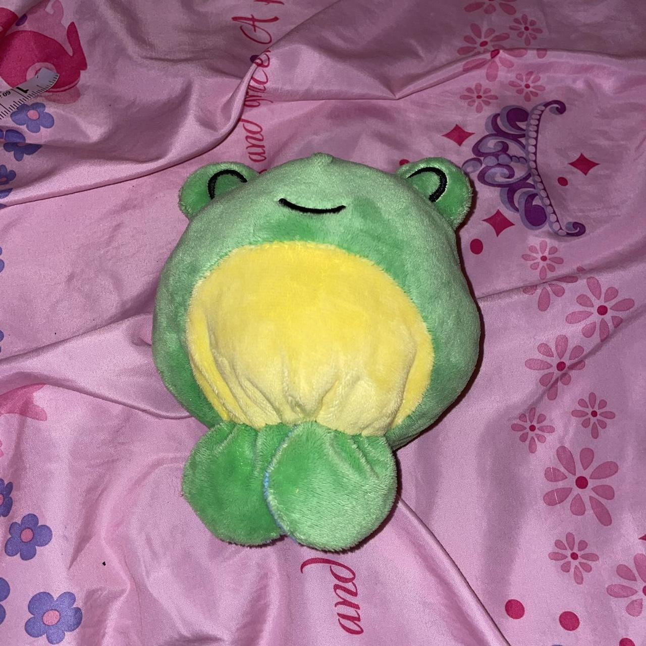 This adorable green frog stuffed animal from - Depop