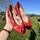 item listed by edyn_vintage