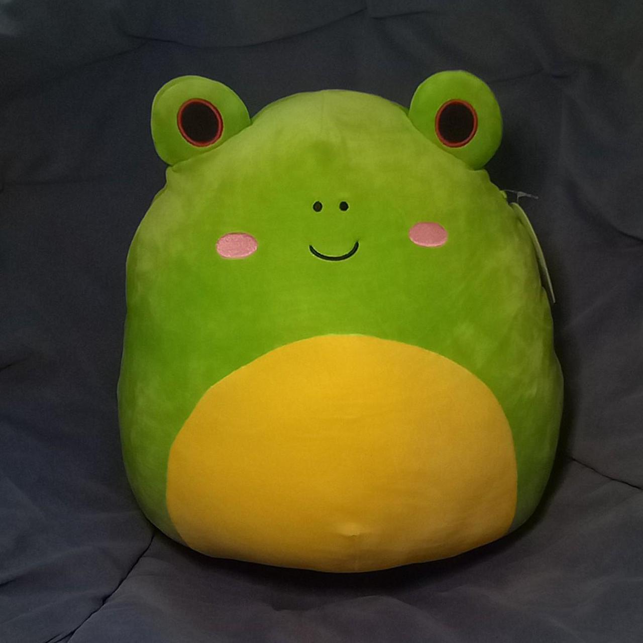 Wendy Squishmallow Wendy Is A Frog,, Daisy Flower Squishmallow