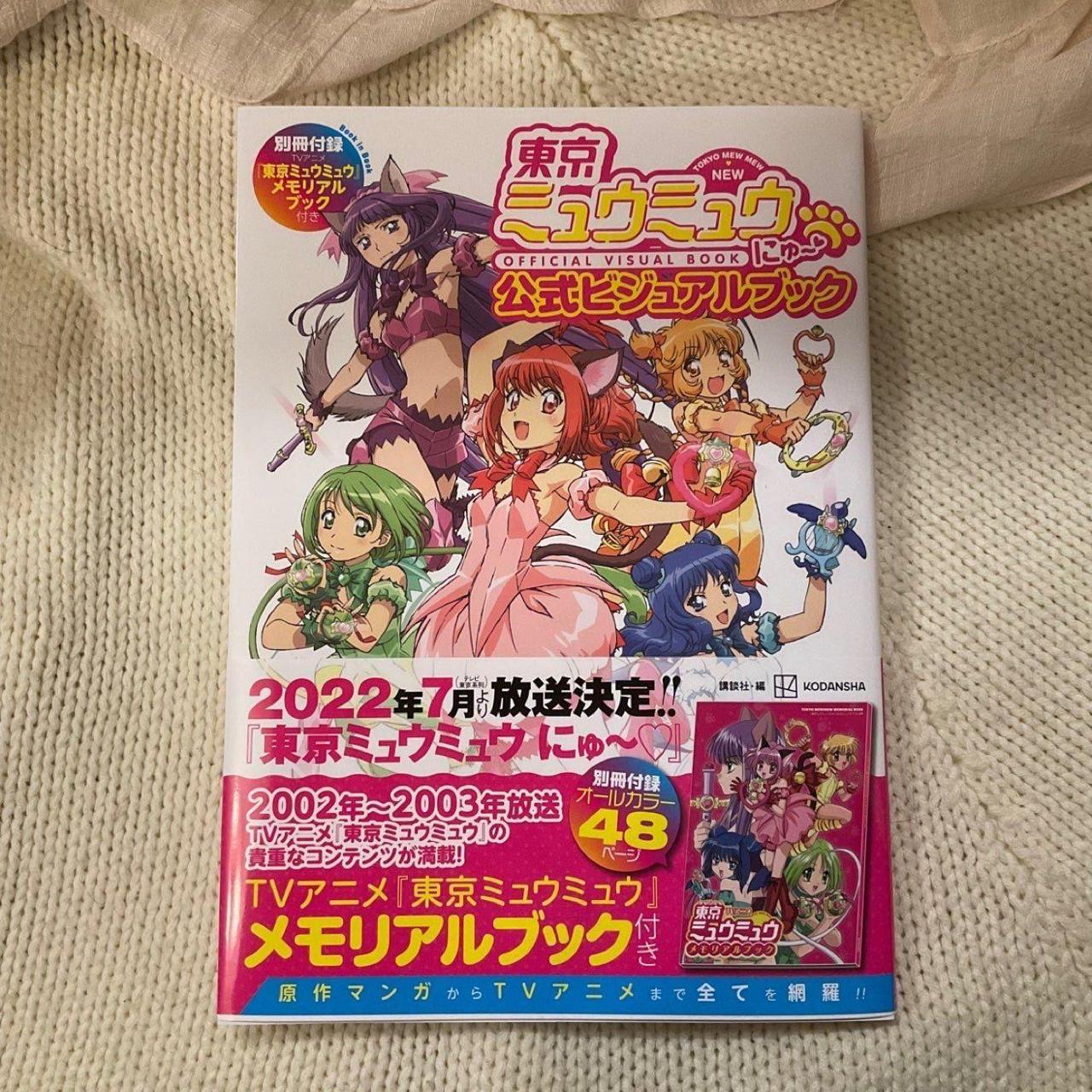 絵画 Hello  by mew mew Tokyo Mew Mew visual art book from Japan, brand new. | Depop