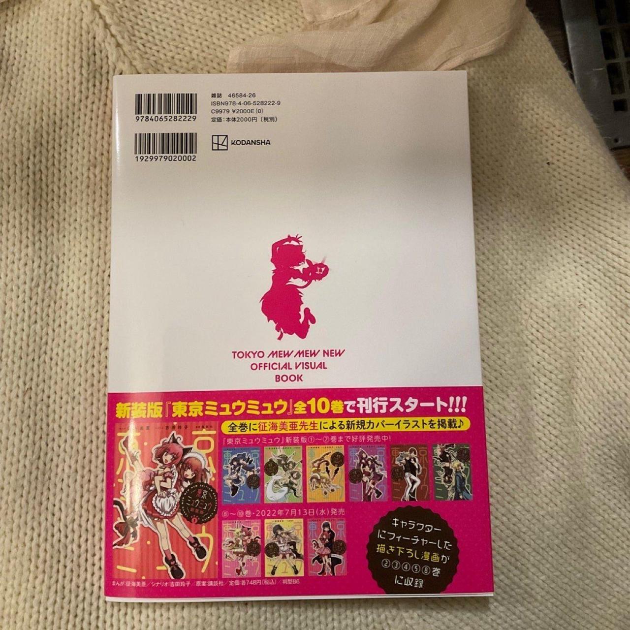 絵画 Hello  by mew mew Tokyo Mew Mew visual art book from Japan, brand new. | Depop