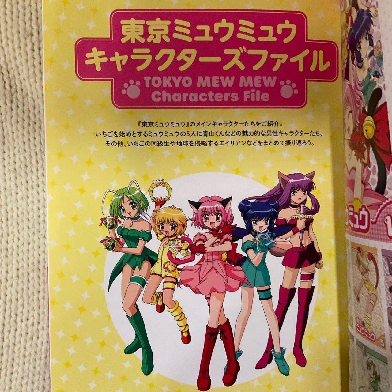 絵画 Hello  by mew mew Tokyo Mew Mew visual art book from Japan, brand new. | Depop