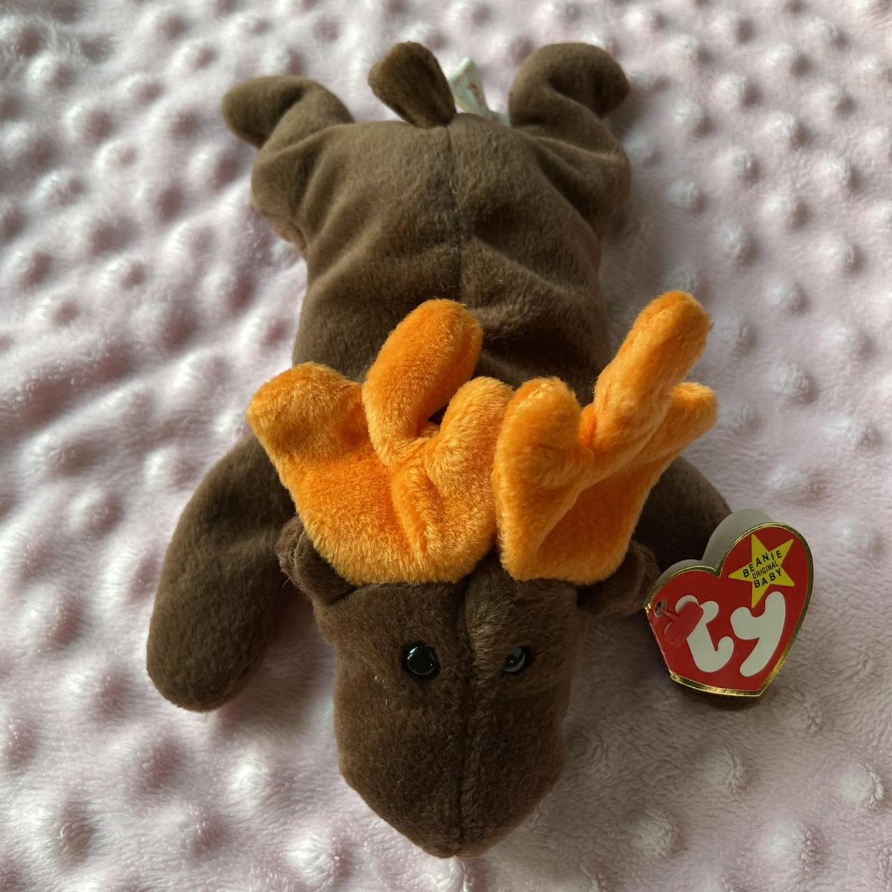 Rare TY Beanie Baby CHOCOLATE THE MOOSE. Depop