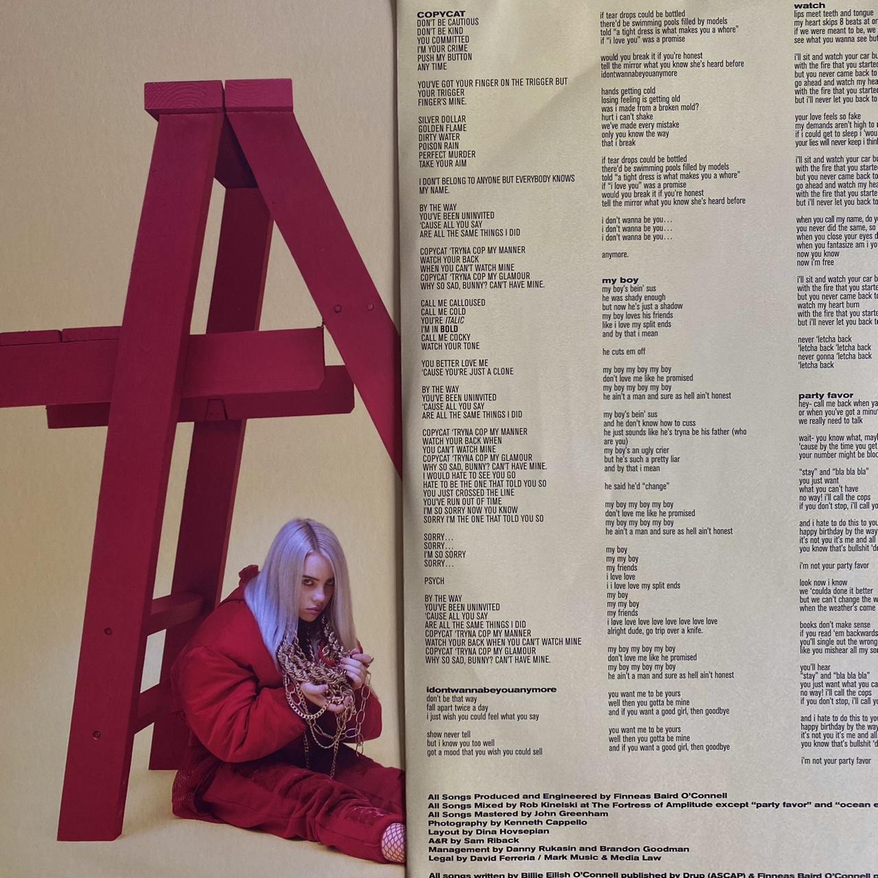 Billie Eilish Vinyl: Don't Smile At Me - when - Depop