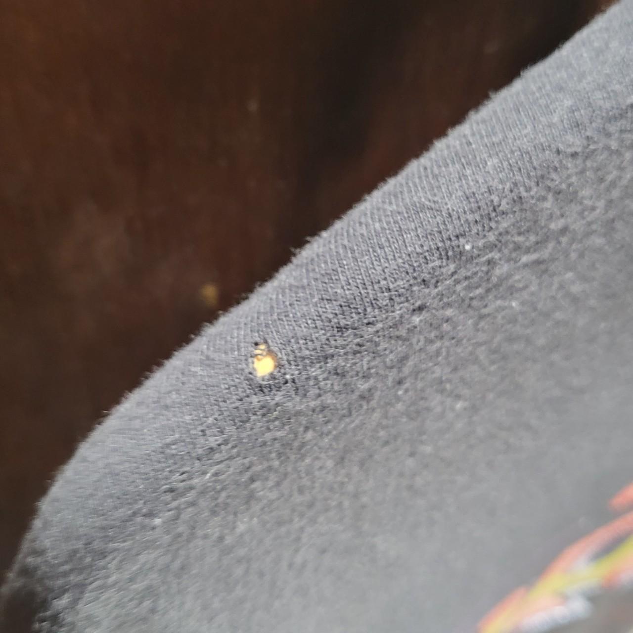 Vintage 1992 Tasmanian devil Harley Davidson tee... - Depop