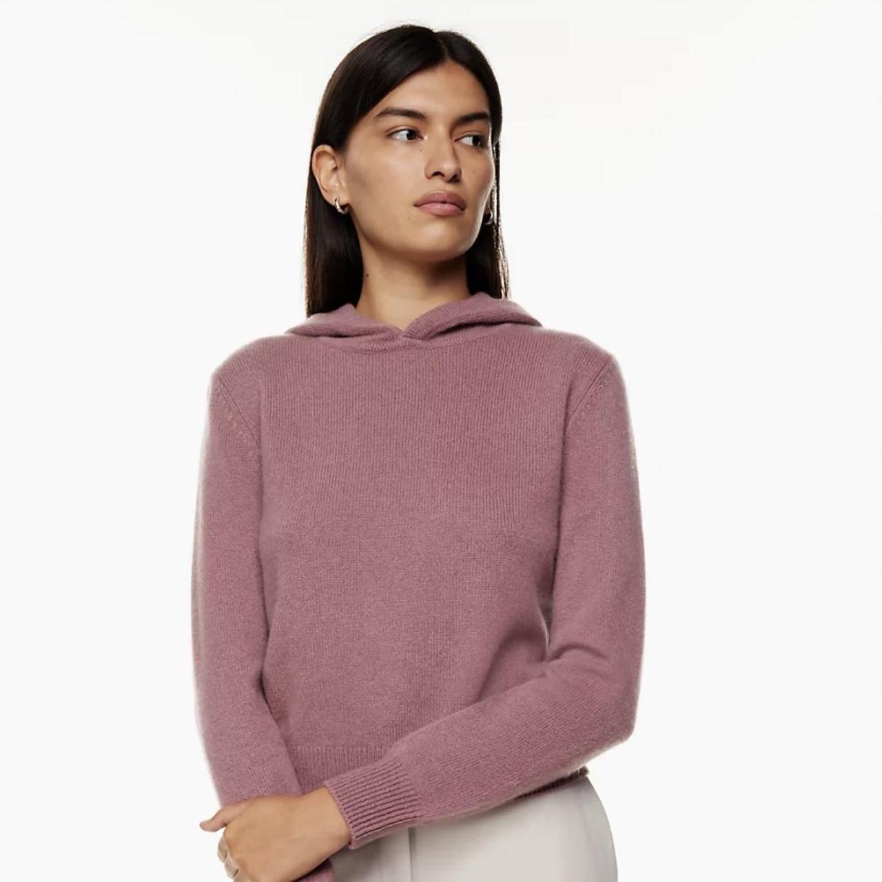 Babaton best sale cashmere hoodie