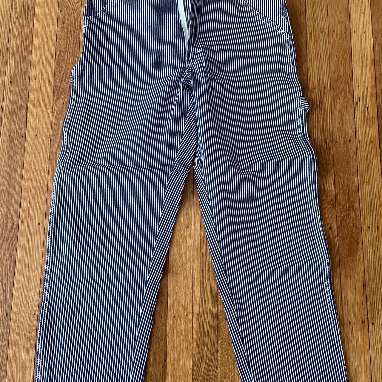 stan ray painter pants