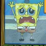 katie_bobaty's profile picture