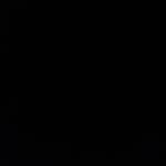 alexa_archive's profile picture