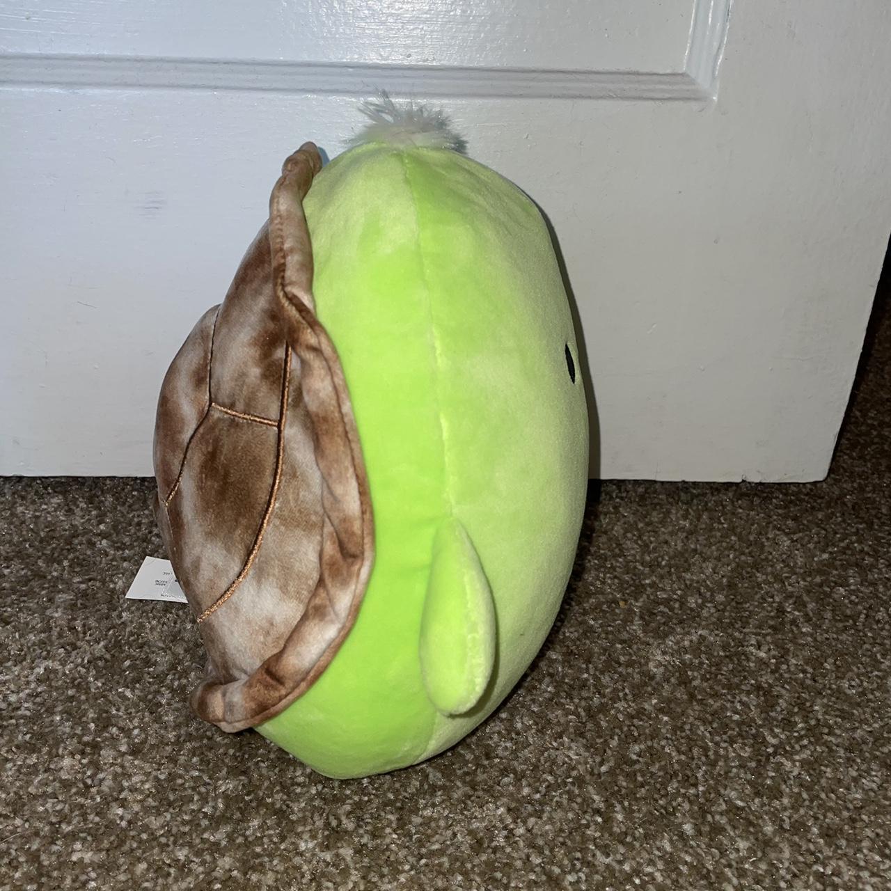 antoni the sea turtle squishmallow