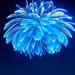 angsky's profile picture