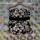 item listed by gatsbygirl333