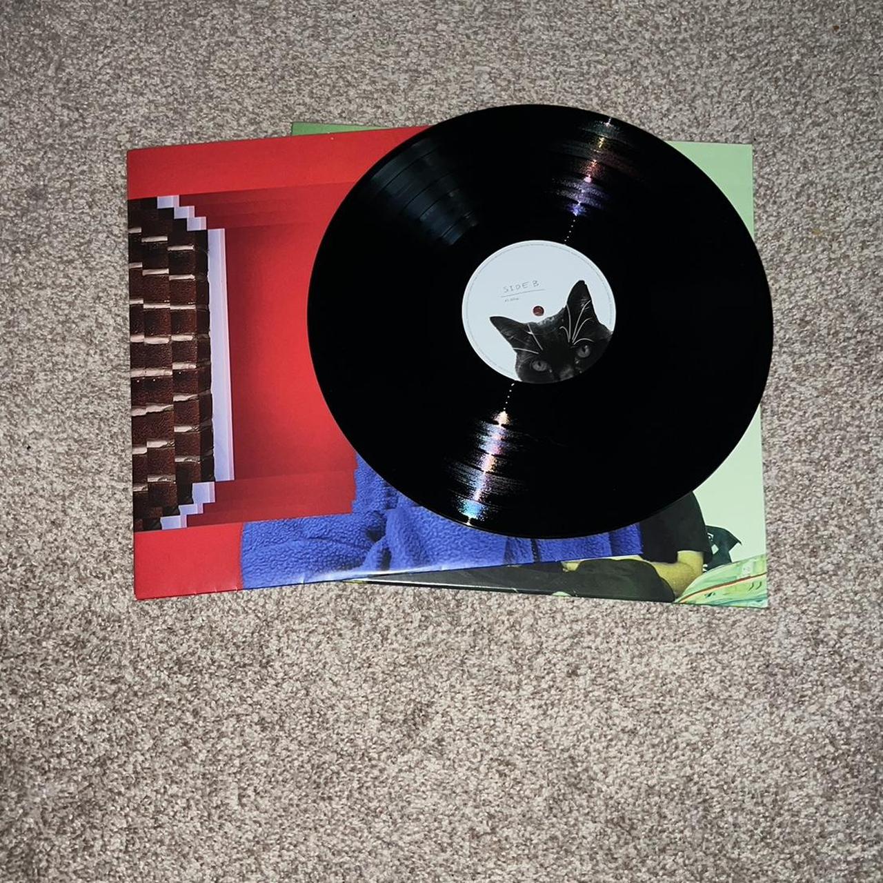 Rex Orange County - Bcos U Will Never B Free Vinyl... - Depop