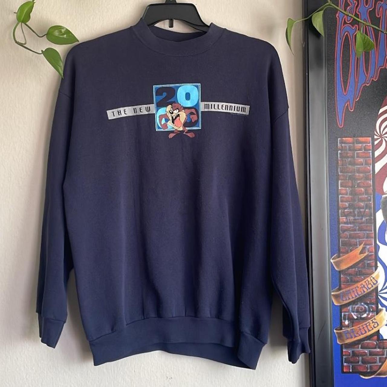 Warner Bros. Women's Blue and Brown Sweatshirt | Depop